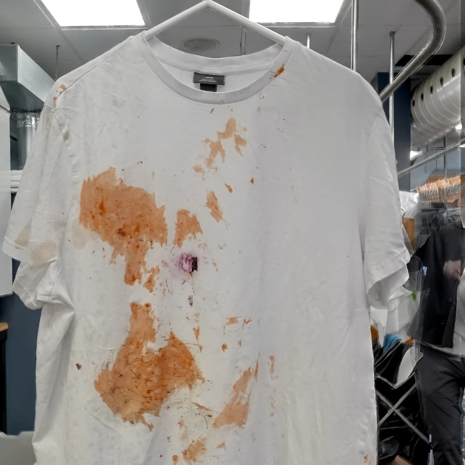 White crew-neck T-shirt on a hanger, before Glenforest's care